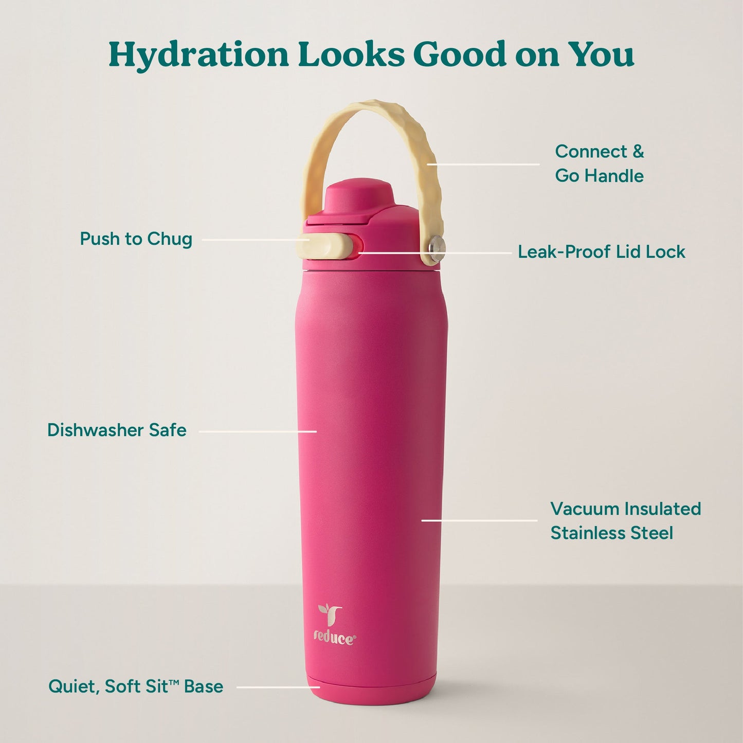 aura-26-oz-a6 Aura_26oz_DragonFruit_PDP_Infographic_2-03.jpg
