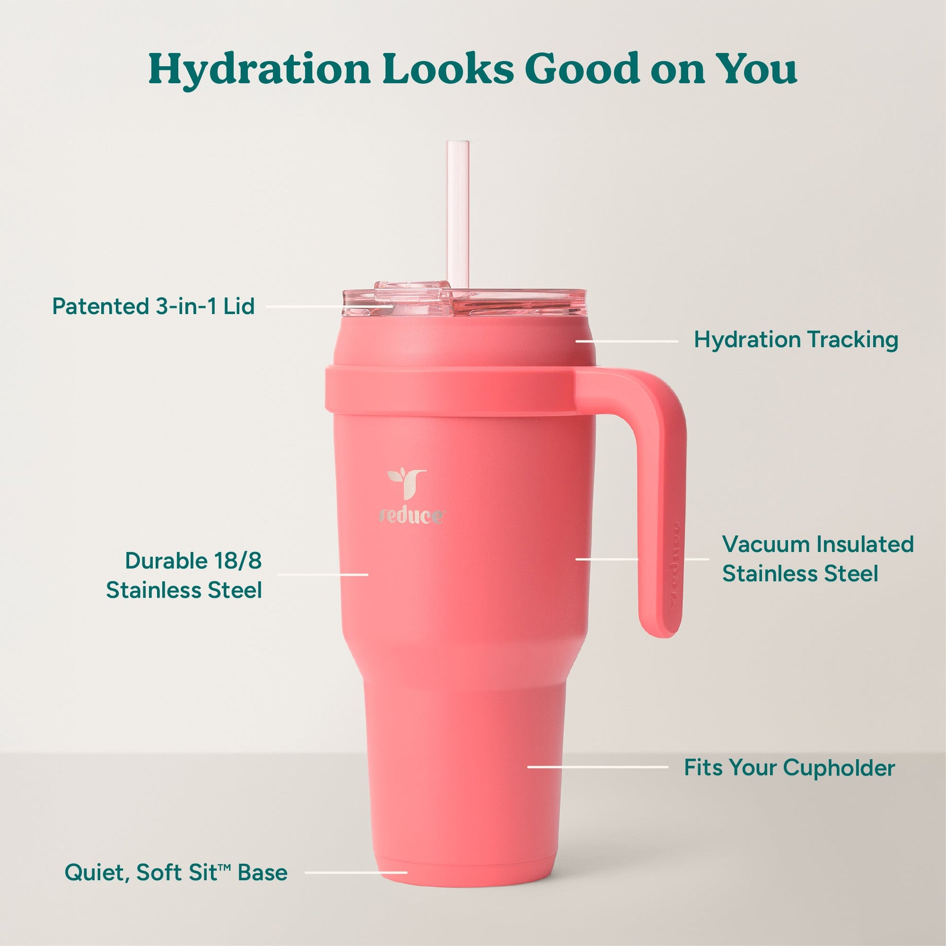 cold1-40-oz-w9 Cold1_40oz_Daiquiri_Infographic_2.jpg