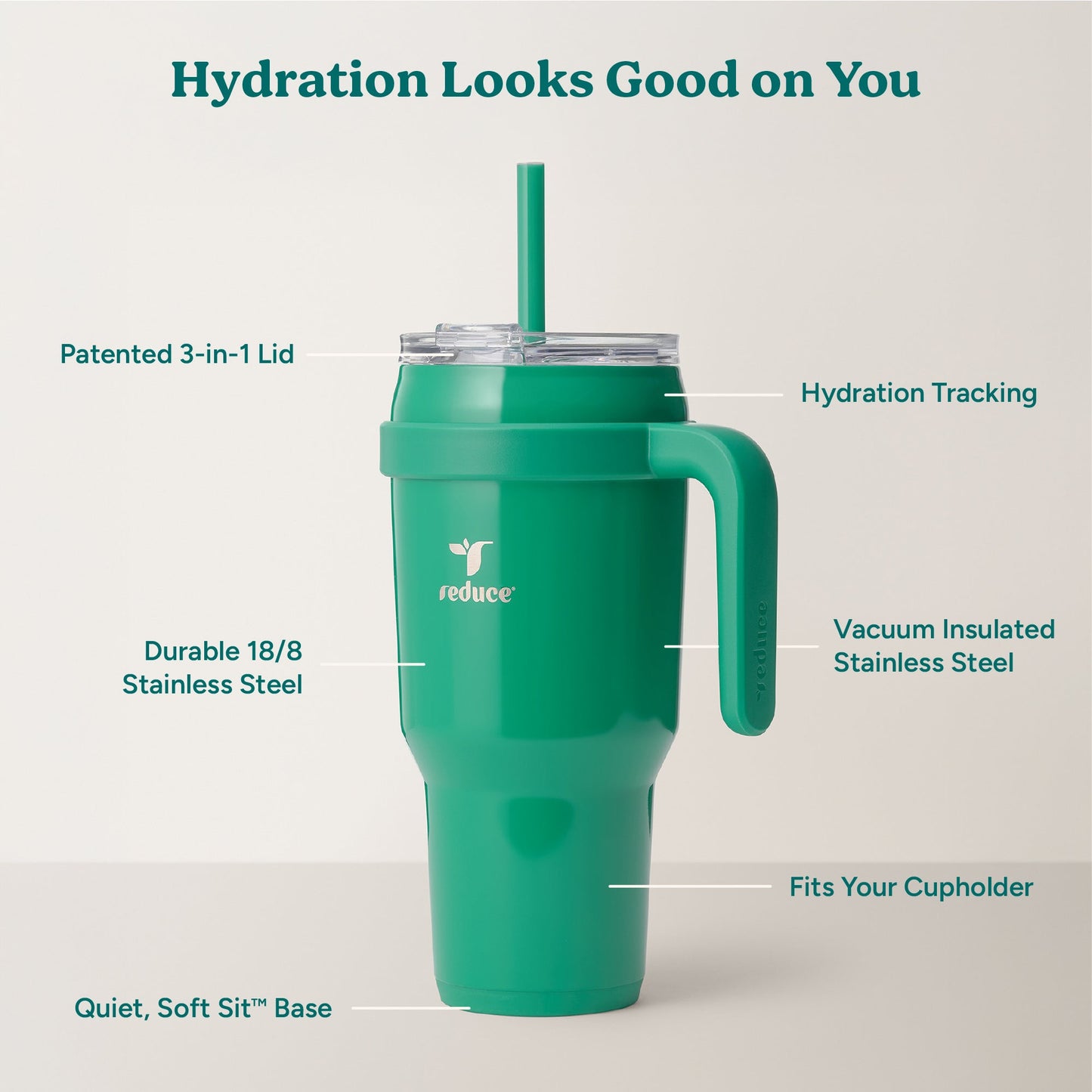 cold1-40-oz-w9 Cold1_40oz_PalmLeaf_Infographic_2.jpg