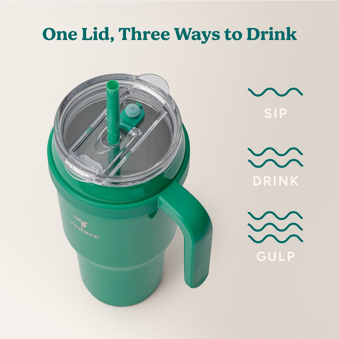 cold1-40-oz-w9 Cold1_40oz_PalmLeaf_Infographic_3.jpg