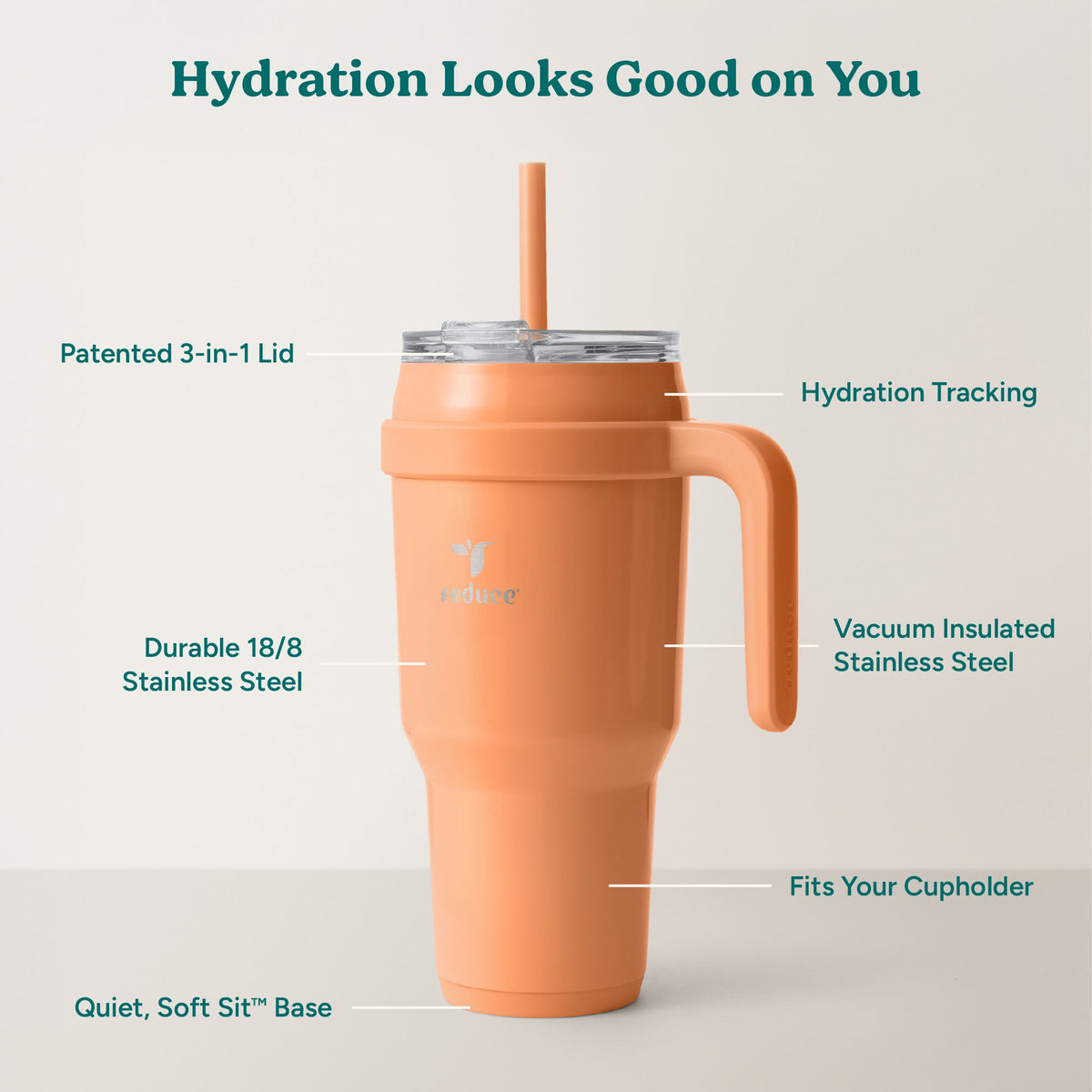 cold1-40-oz-w9 Cold1_40oz_Papaya_Infographic_2.jpg