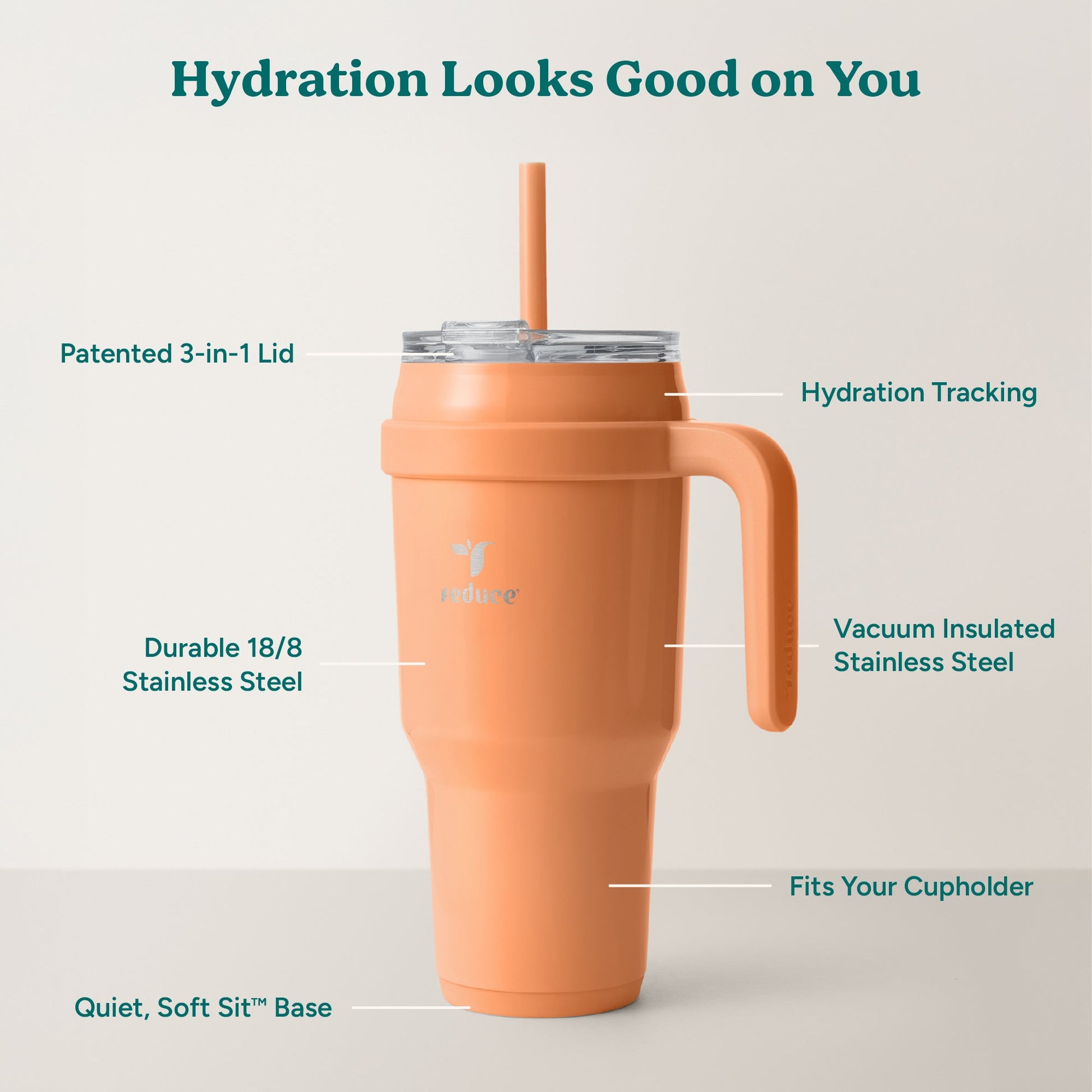 cold1-40-oz-e1 Cold1_40oz_Papaya_Infographic_2.jpg