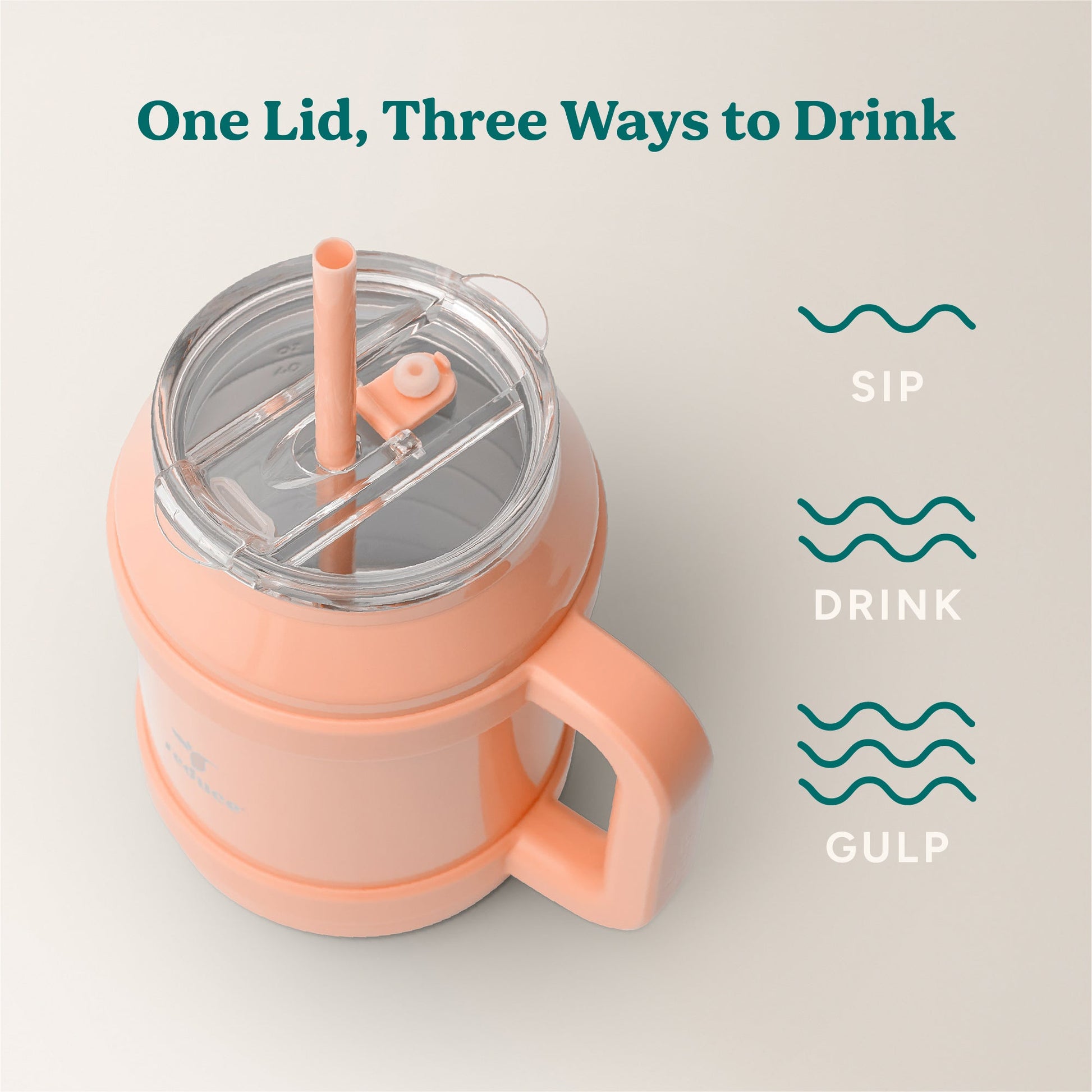 cold1-desktop-50-oz-a3 Cold1_50oz_Desktop_Sedona_Infographic_3.jpg